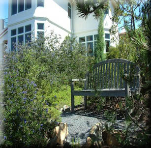 Native Hillside Garden